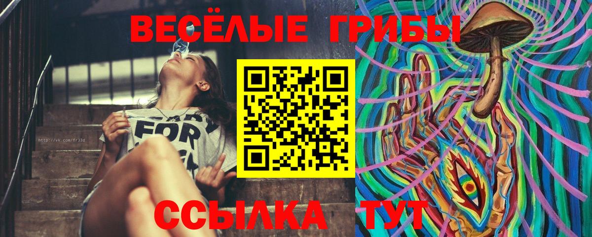Курск  магазин  наркотиков  Вход с VPN  Галлюциногенные грибы ЛСД 
